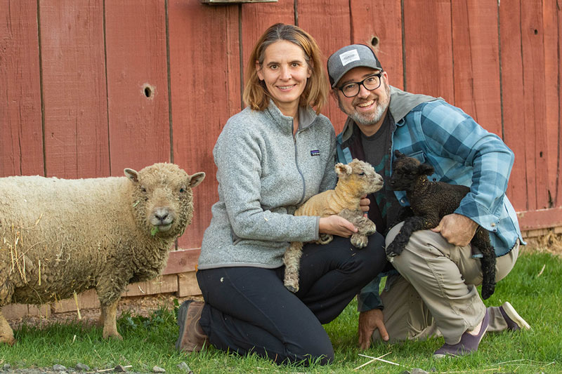 Two people holding baby lambs, with an adult sheep standing to the left.
